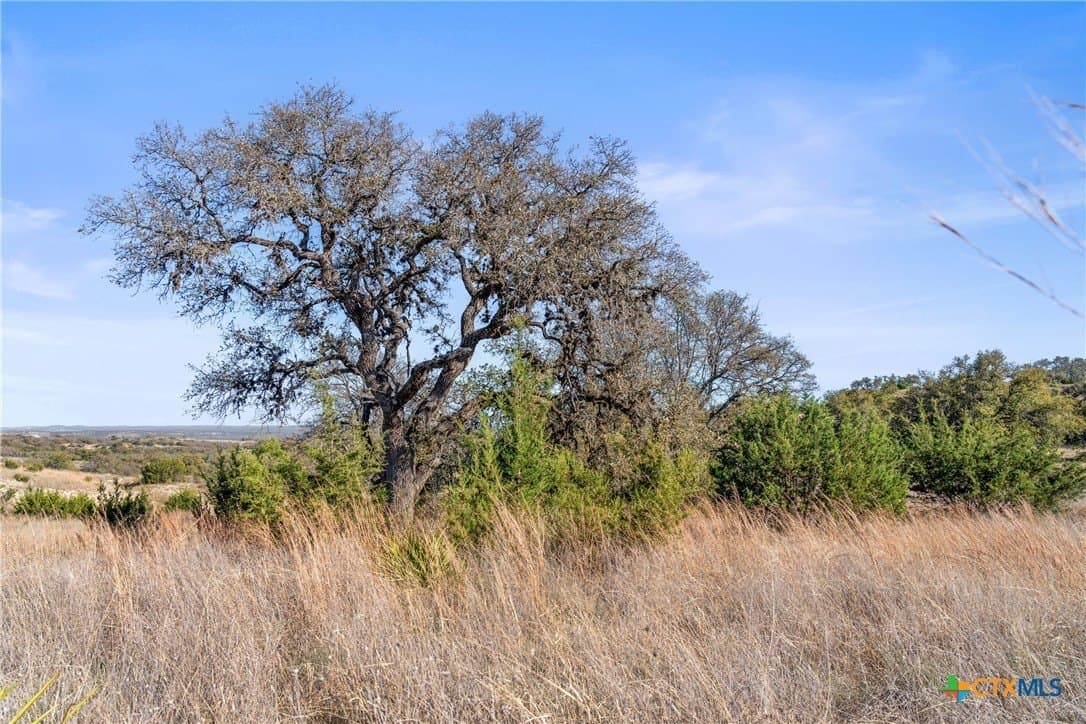 6.29 acres in Blanco County - photo 3