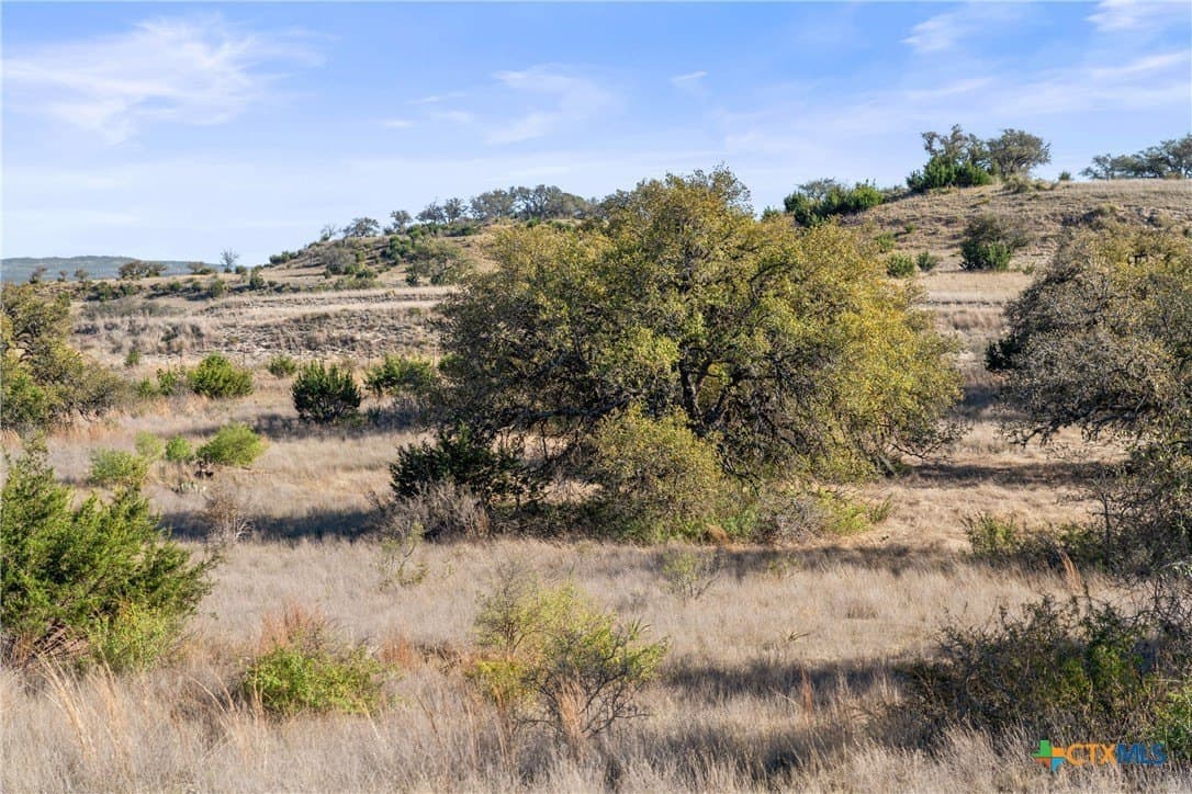 6.29 acres in Blanco County - photo 33