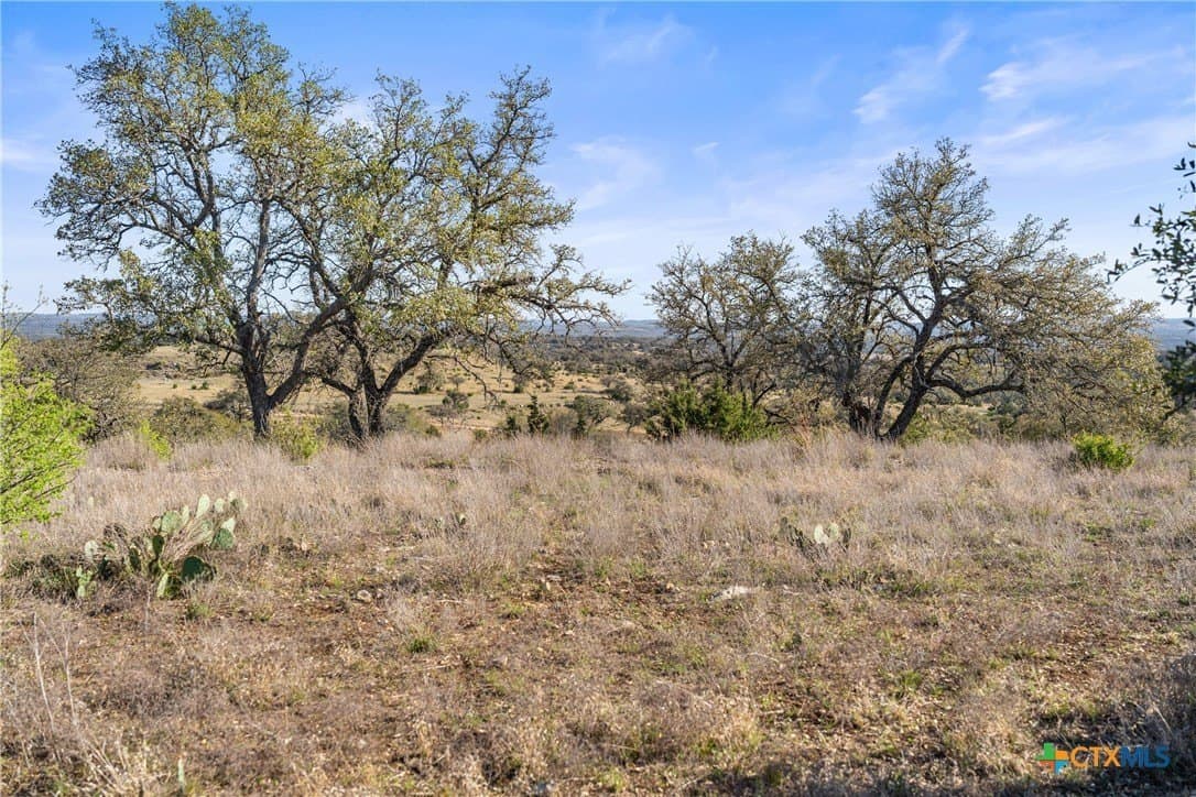 6.29 acres in Blanco County - photo 11