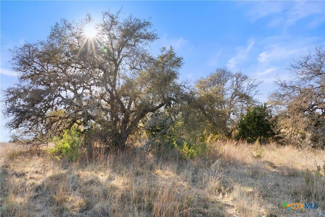 6.29 acres in Blanco County - photo 7