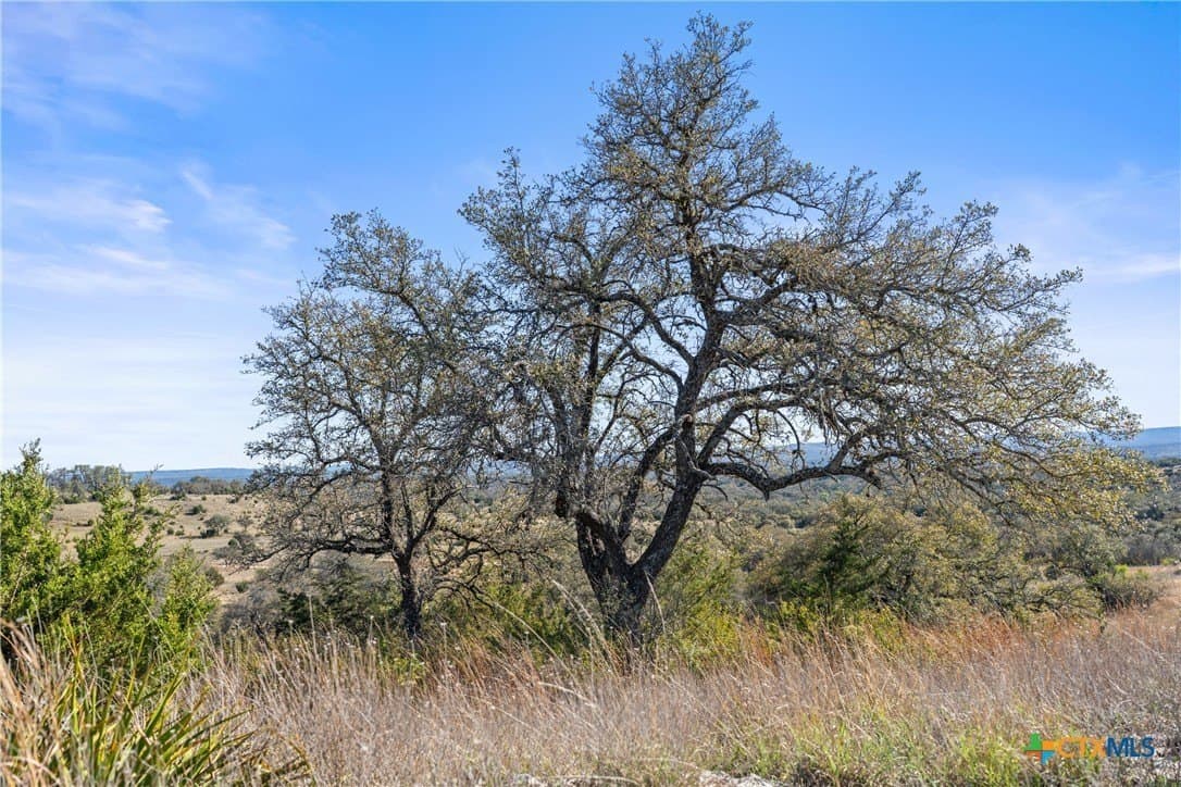 6.29 acres in Blanco County - photo 28