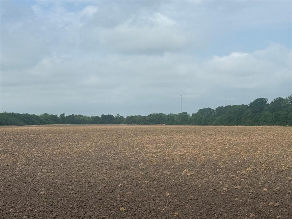 19.78 acres in Fannin County gallery image 2