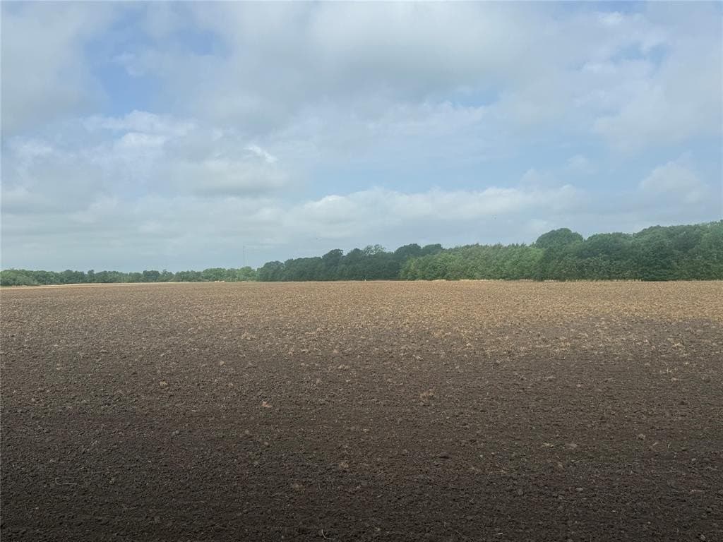 19.78 acres in Fannin County gallery image 4