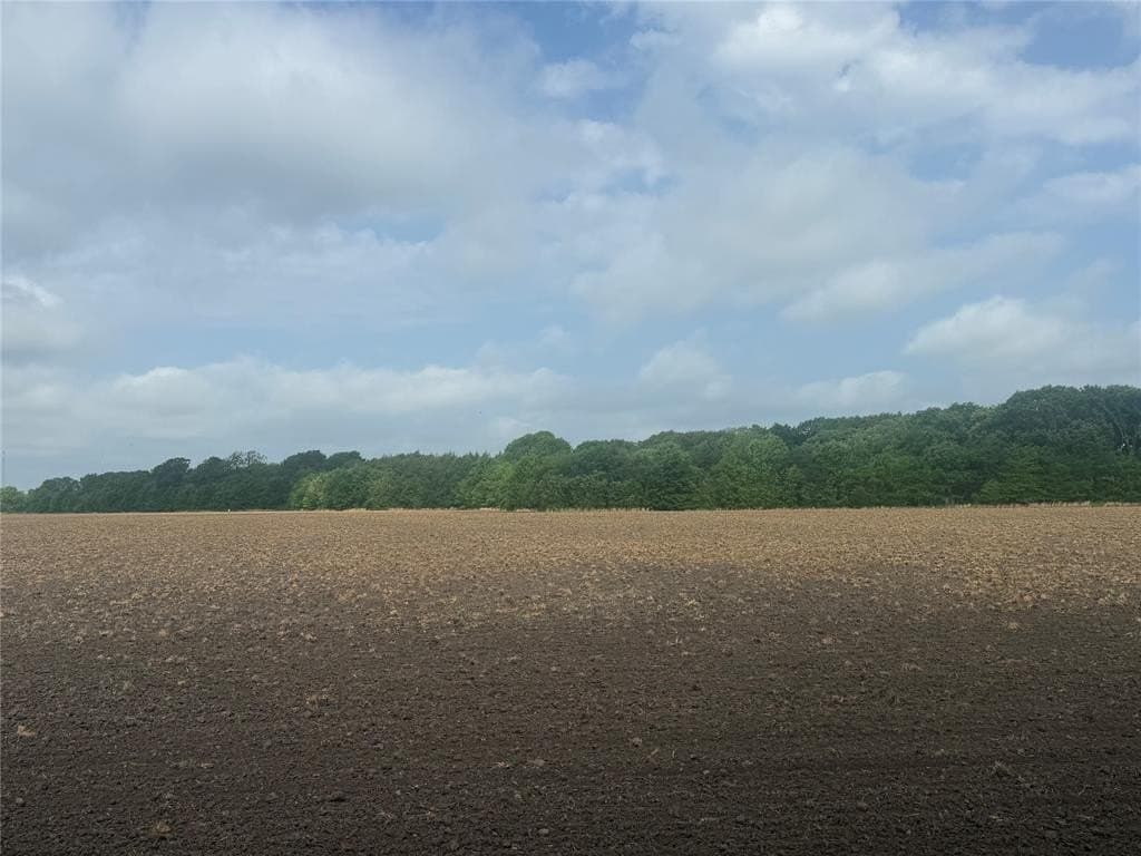 19.78 acres in Fannin County gallery image 3