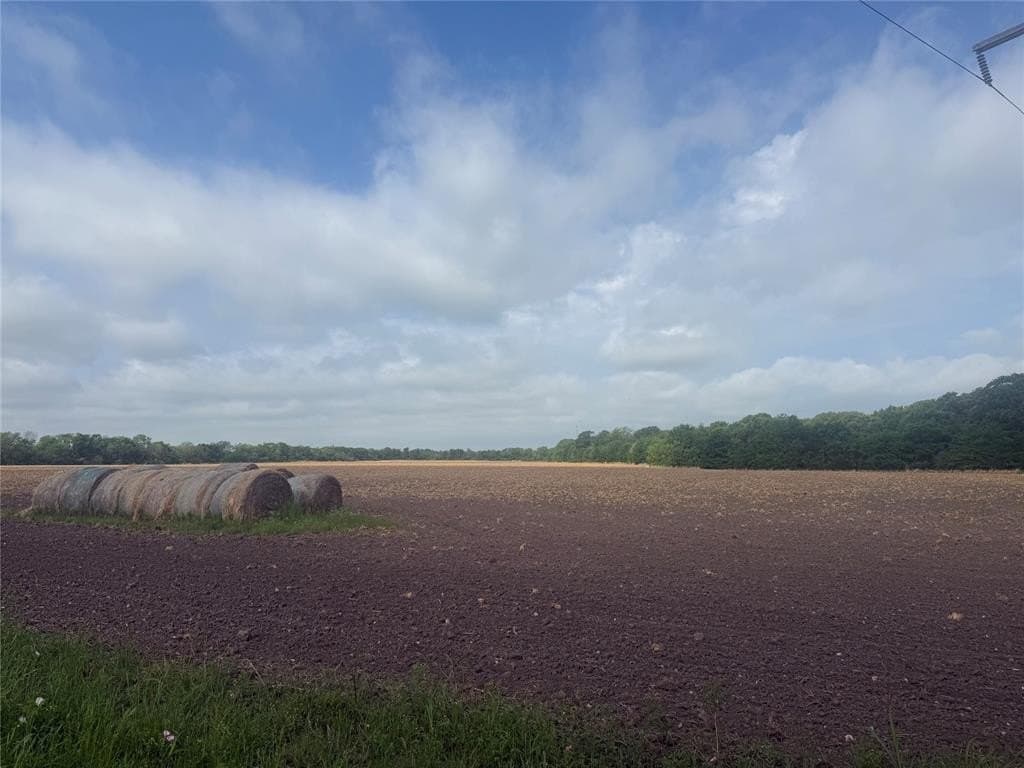 19.78 acres in Fannin County featured view