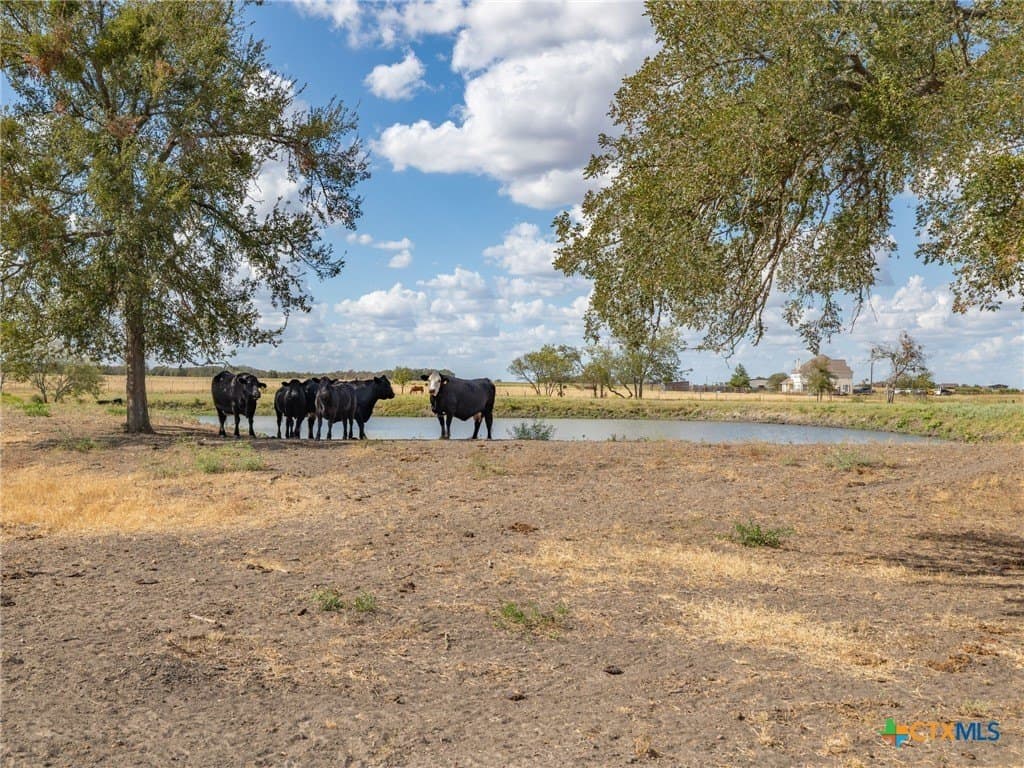 30.61 acres in Williamson County - photo 34