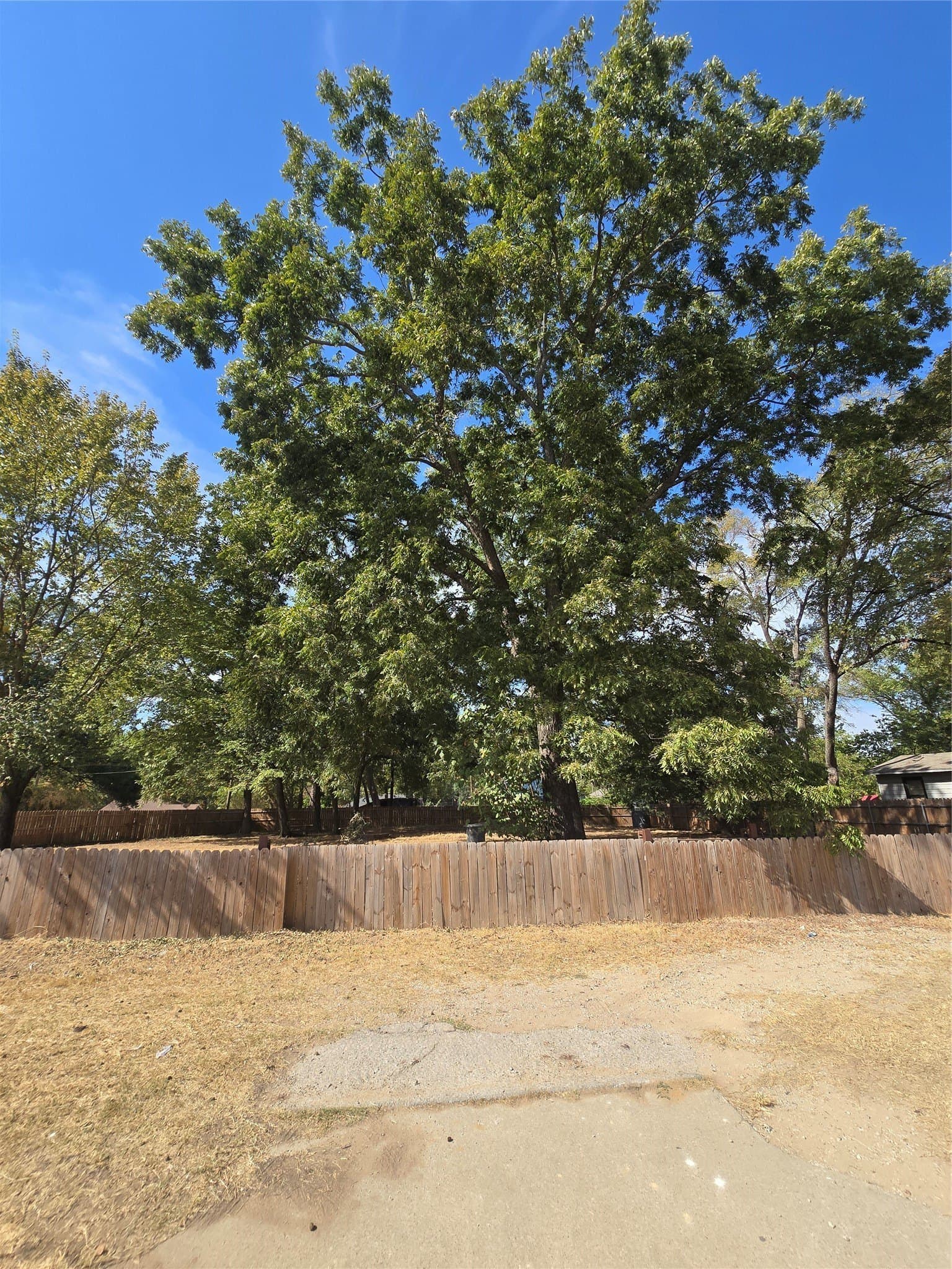 0.16 acres in Dallas County - photo 8