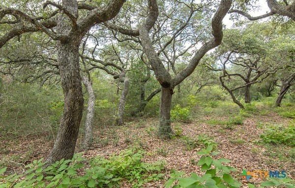 16.09 acres in Jackson County gallery image 4