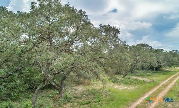 16.09 acres in Jackson County - photo 6