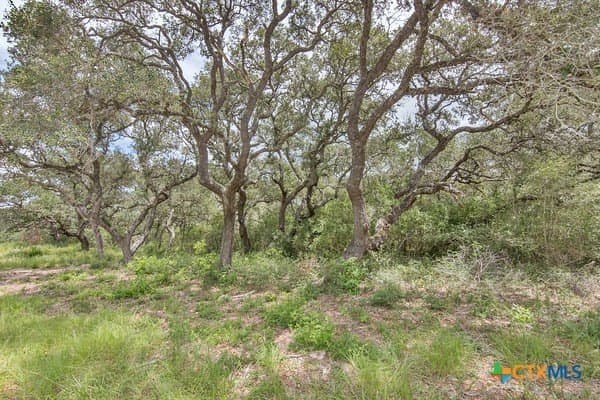 16.09 acres in Jackson County gallery image 2
