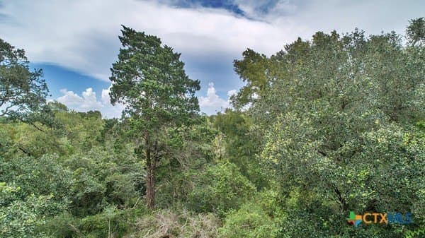 16.09 acres in Jackson County gallery image 3