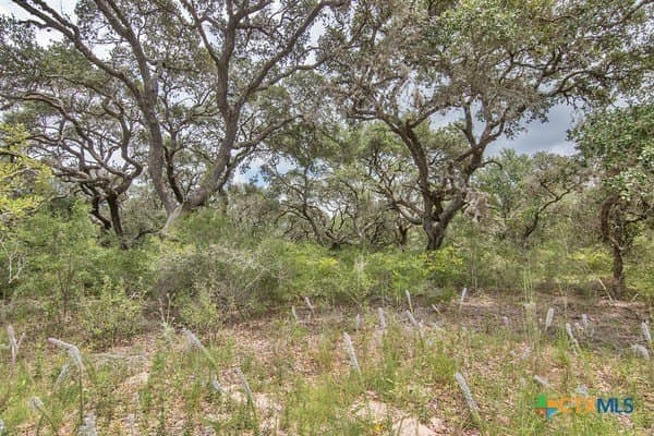 16.09 acres in Jackson County - photo 8