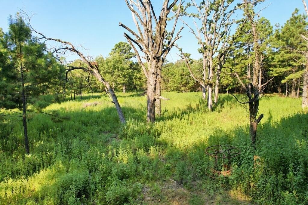 9.89 acres in Texas County - photo 3