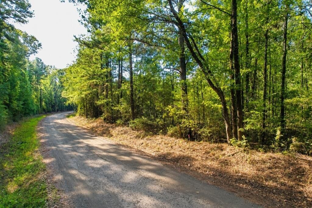 9.89 acres in Texas County - photo 9