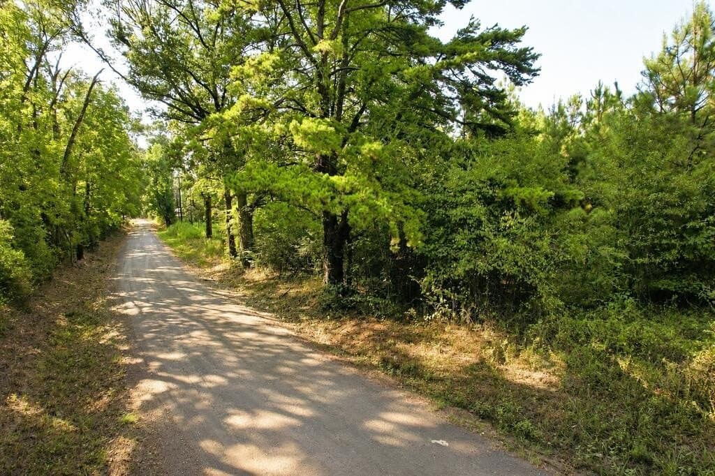 9.89 acres in Texas County - photo 12