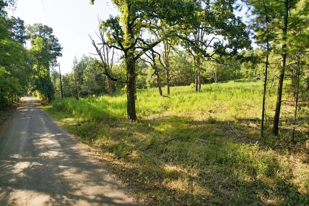 9.89 acres in Texas County