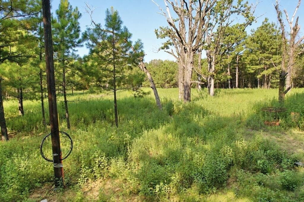 9.89 acres in Texas County - photo 7