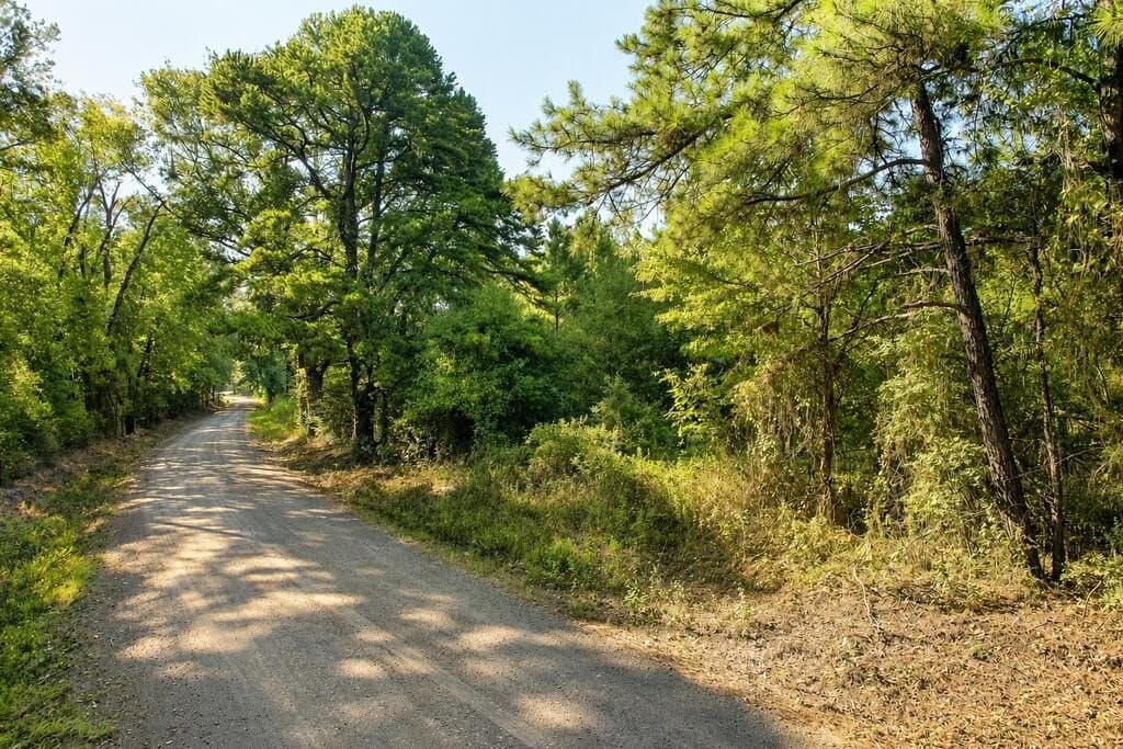 9.89 acres in Texas County - photo 11