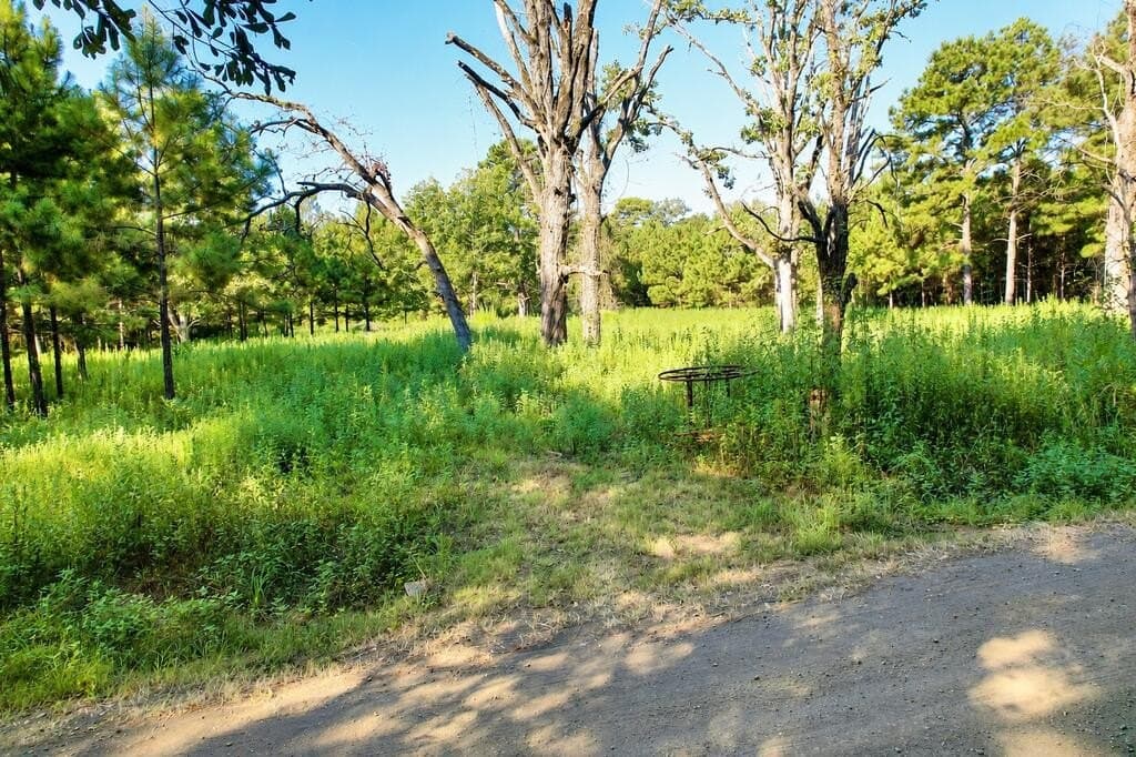 9.89 acres in Texas County - photo 5