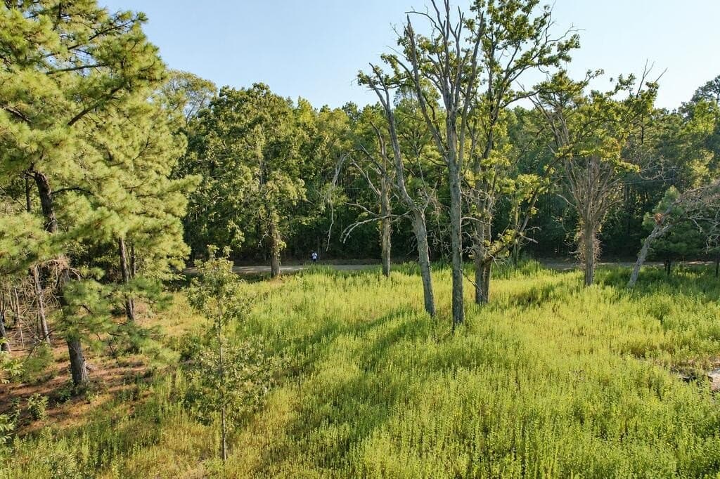 9.89 acres in Texas County - photo 2