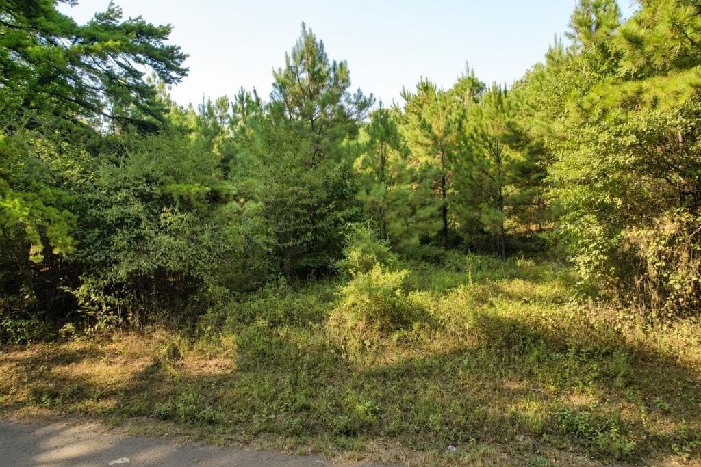 9.89 acres in Texas County - photo 10