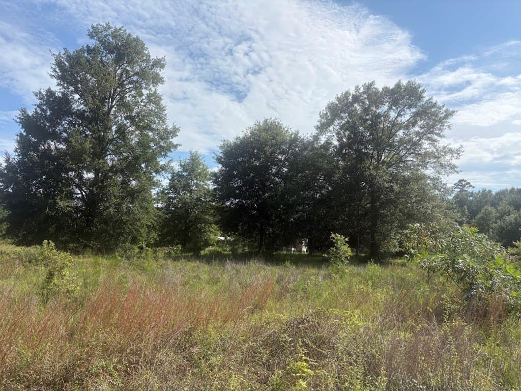 18.21 acres in Texas County gallery image 3