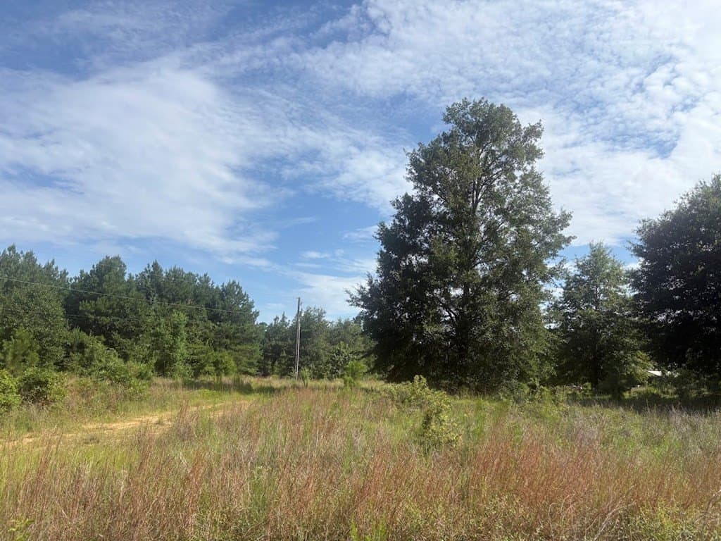 18.21 acres in Texas County - photo 7