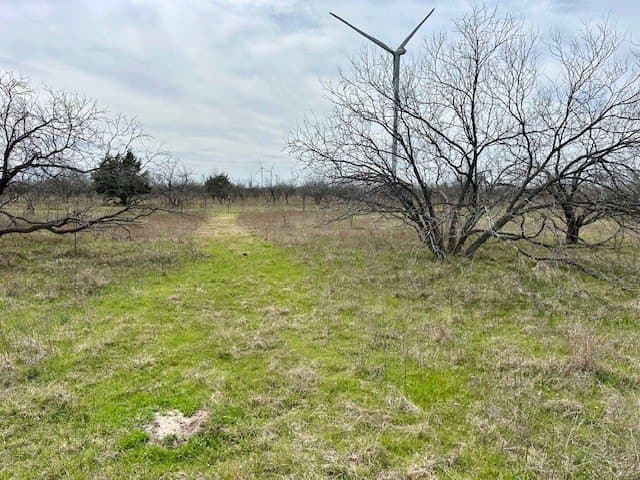 4.95 acres in Navarro County - photo 11
