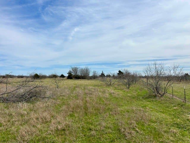 4.95 acres in Navarro County - photo 6