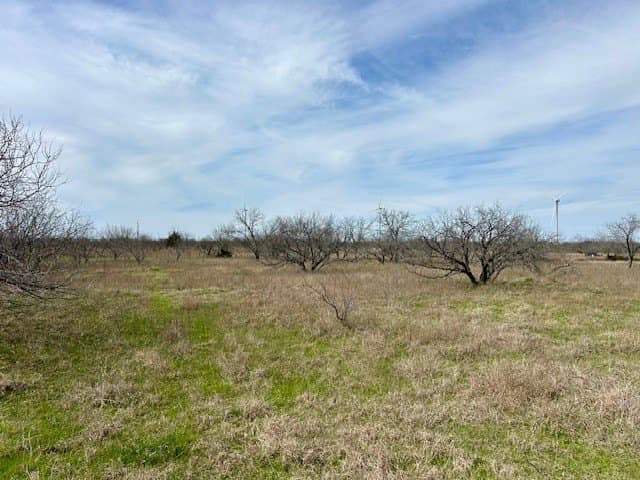 4.95 acres in Navarro County - photo 9