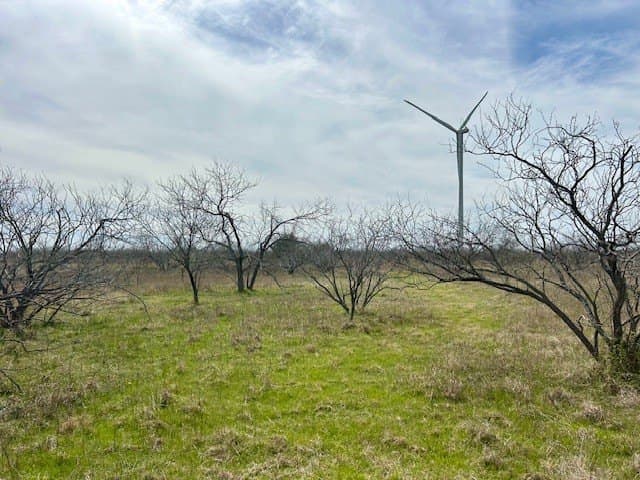 4.95 acres in Navarro County - photo 12