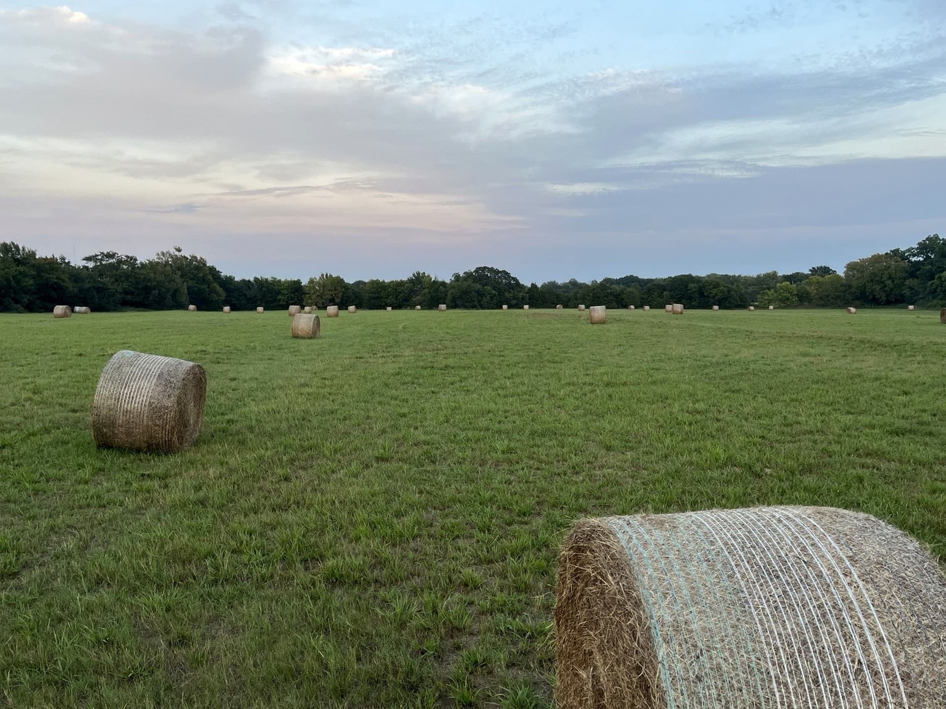 11 acres in Cooke County - photo 11