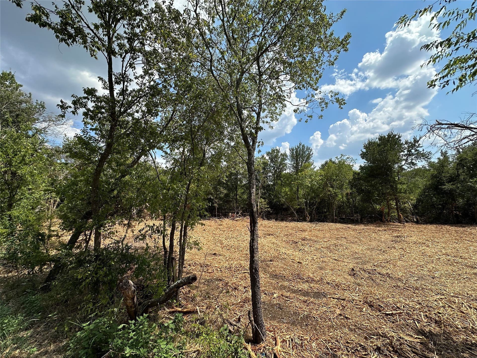 1.68 acres in Hunt County - photo 7