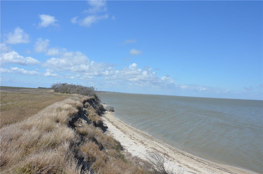 174.4 acres in Refugio County gallery image 4