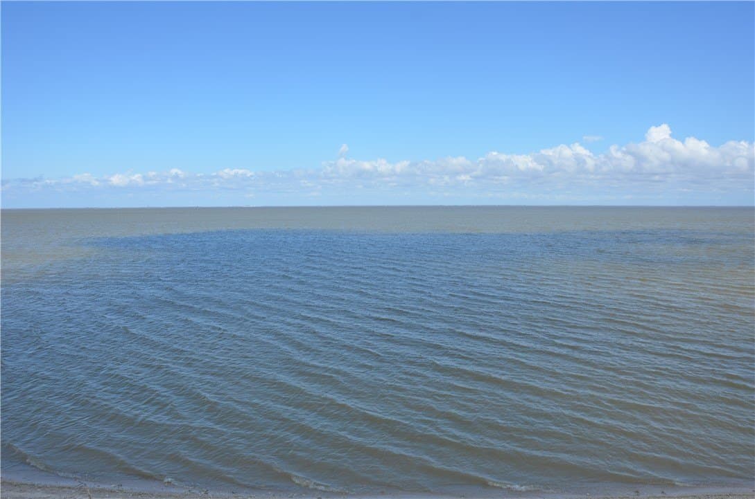 174.4 acres in Refugio County featured view