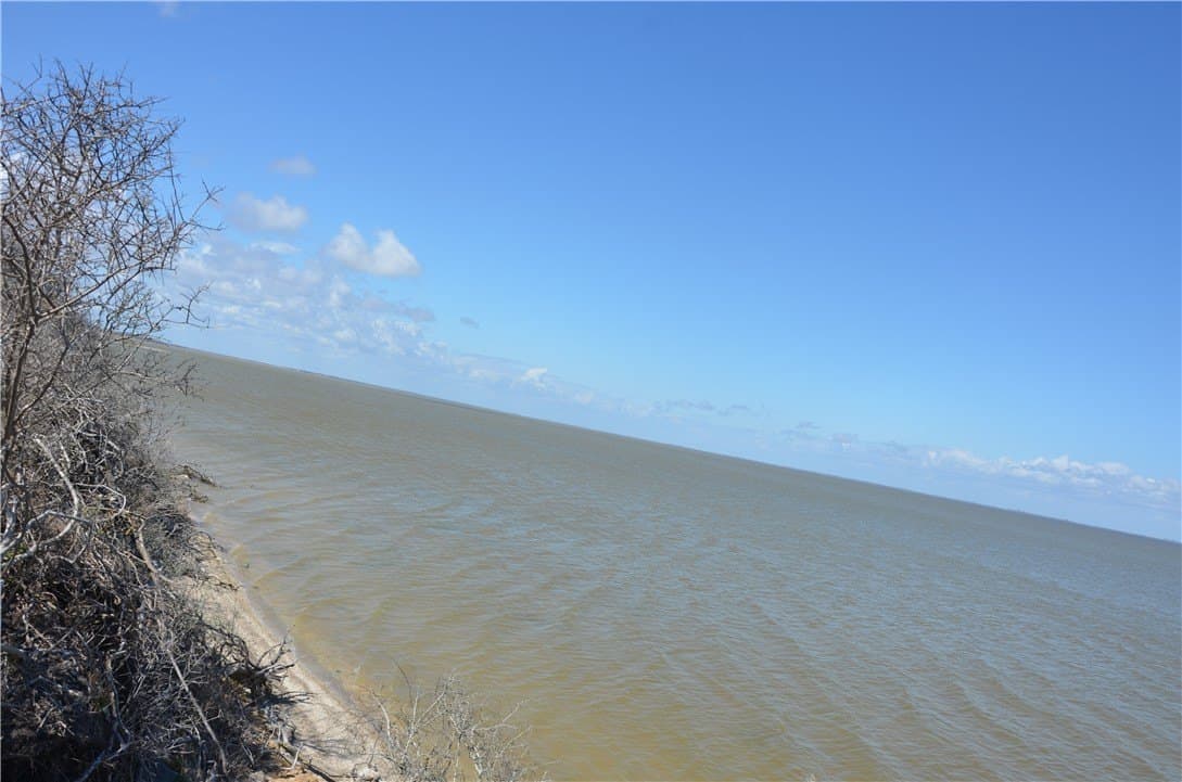 174.4 acres in Refugio County gallery image 3