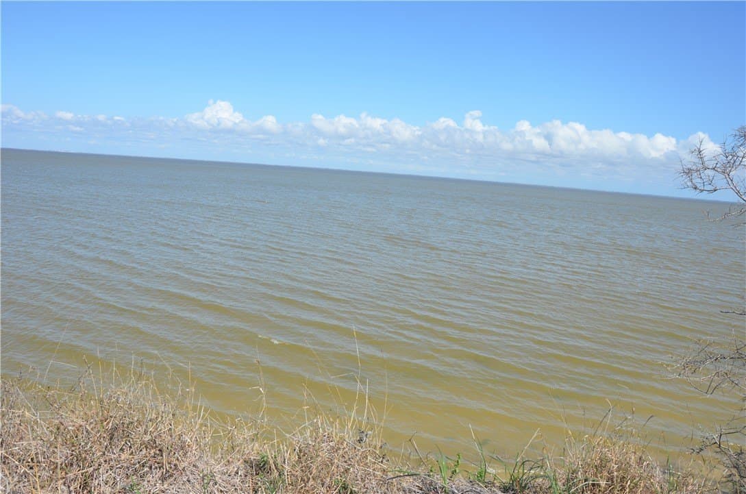 174.4 acres in Refugio County gallery image 2