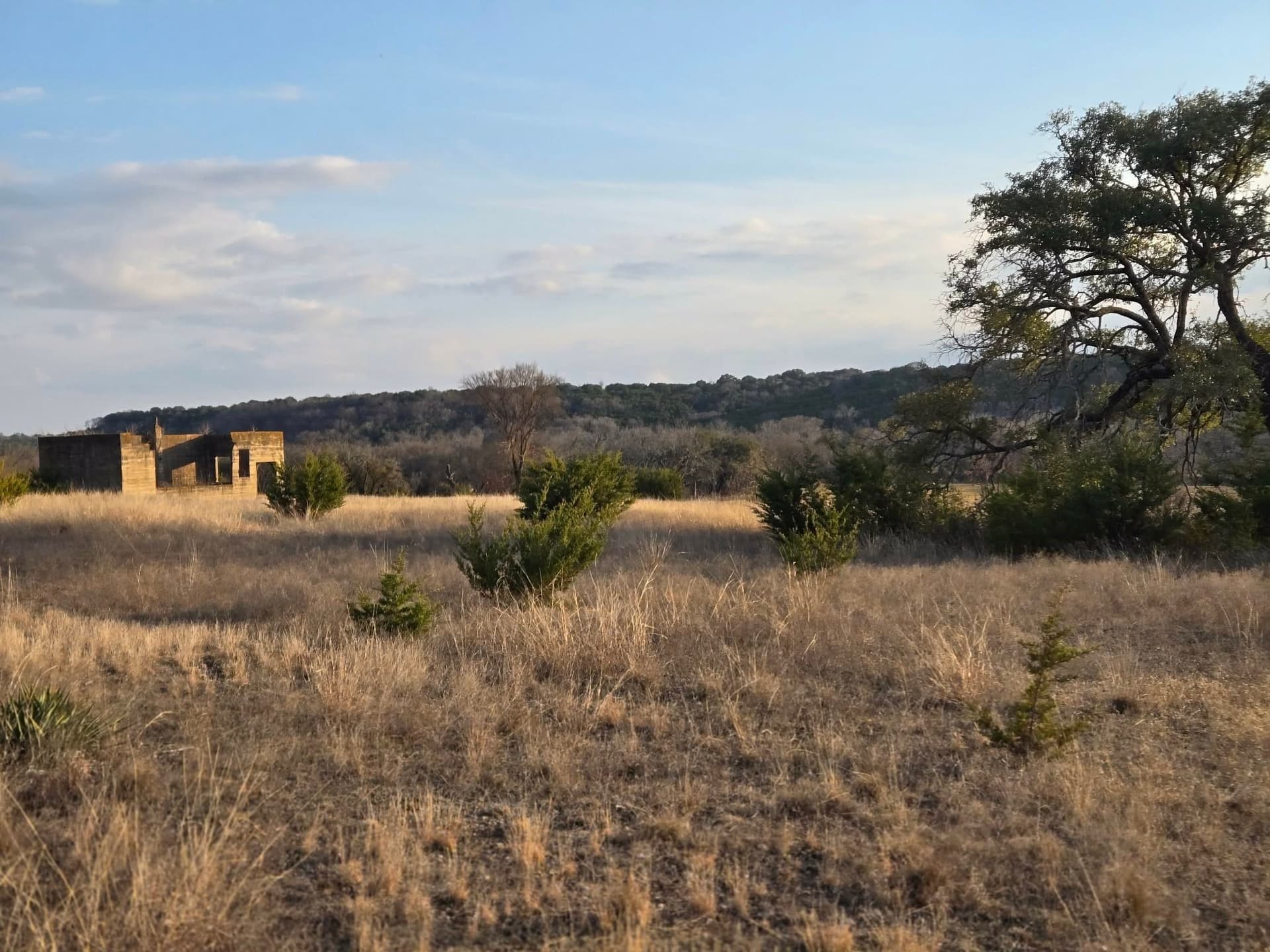 5 acres in Coryell County - photo 12