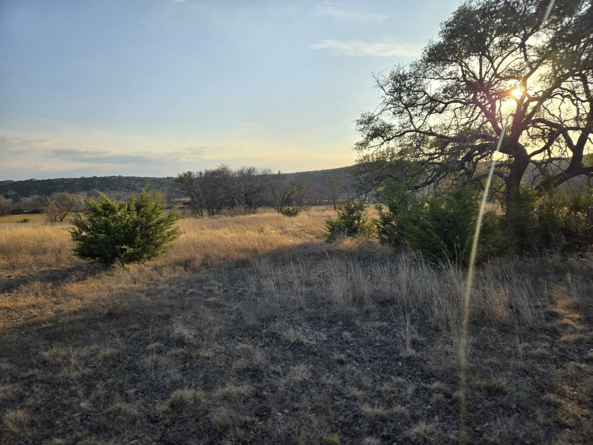 5 acres in Coryell County - photo 4