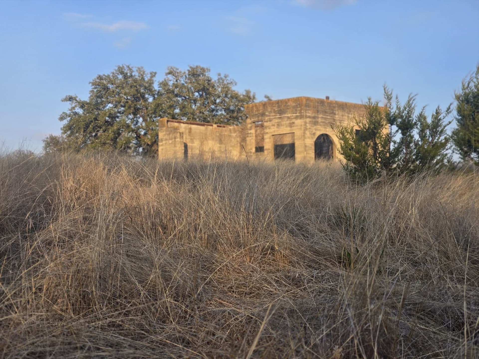 5 acres in Coryell County - photo 11