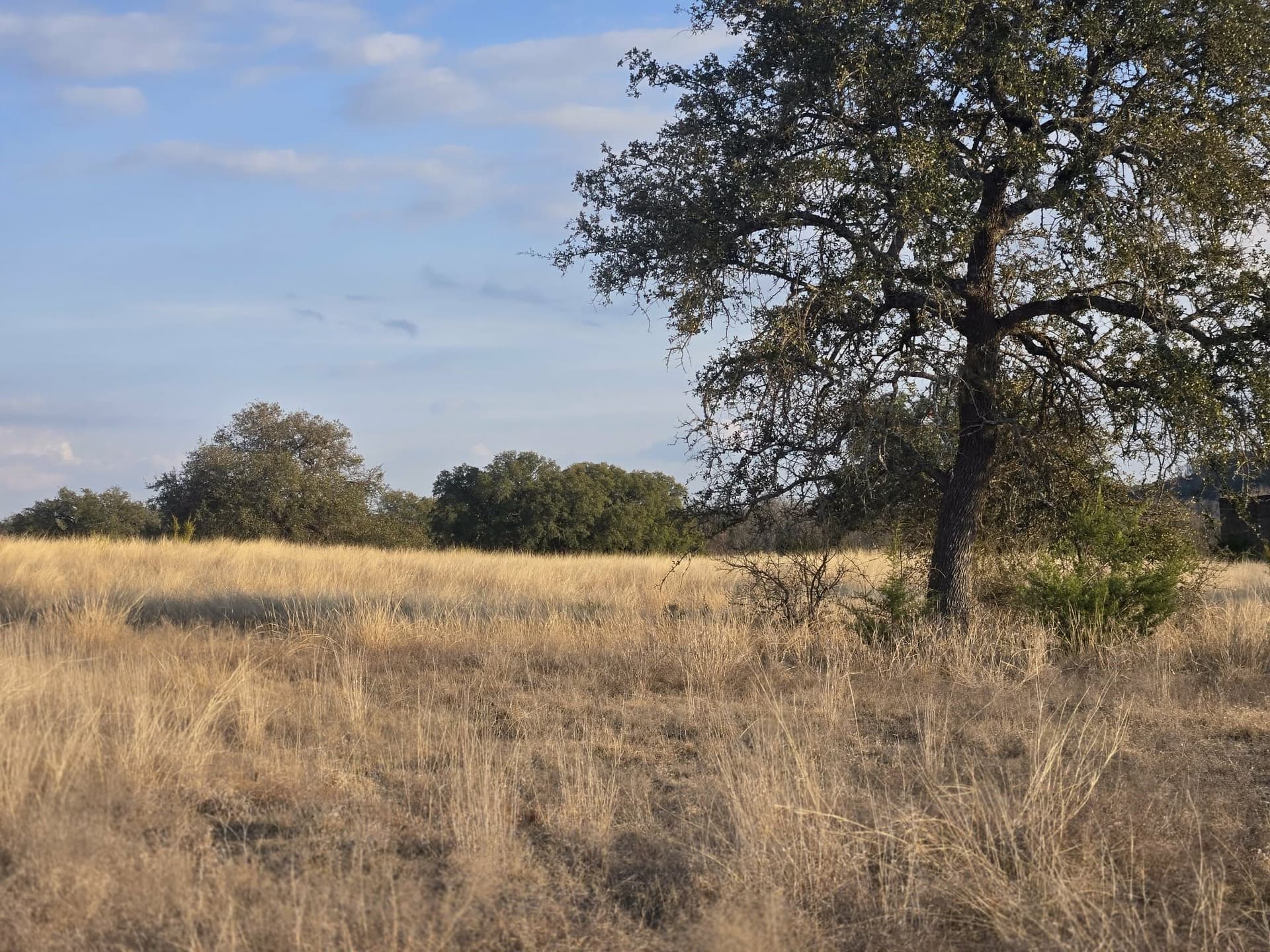 5 acres in Coryell County - photo 10