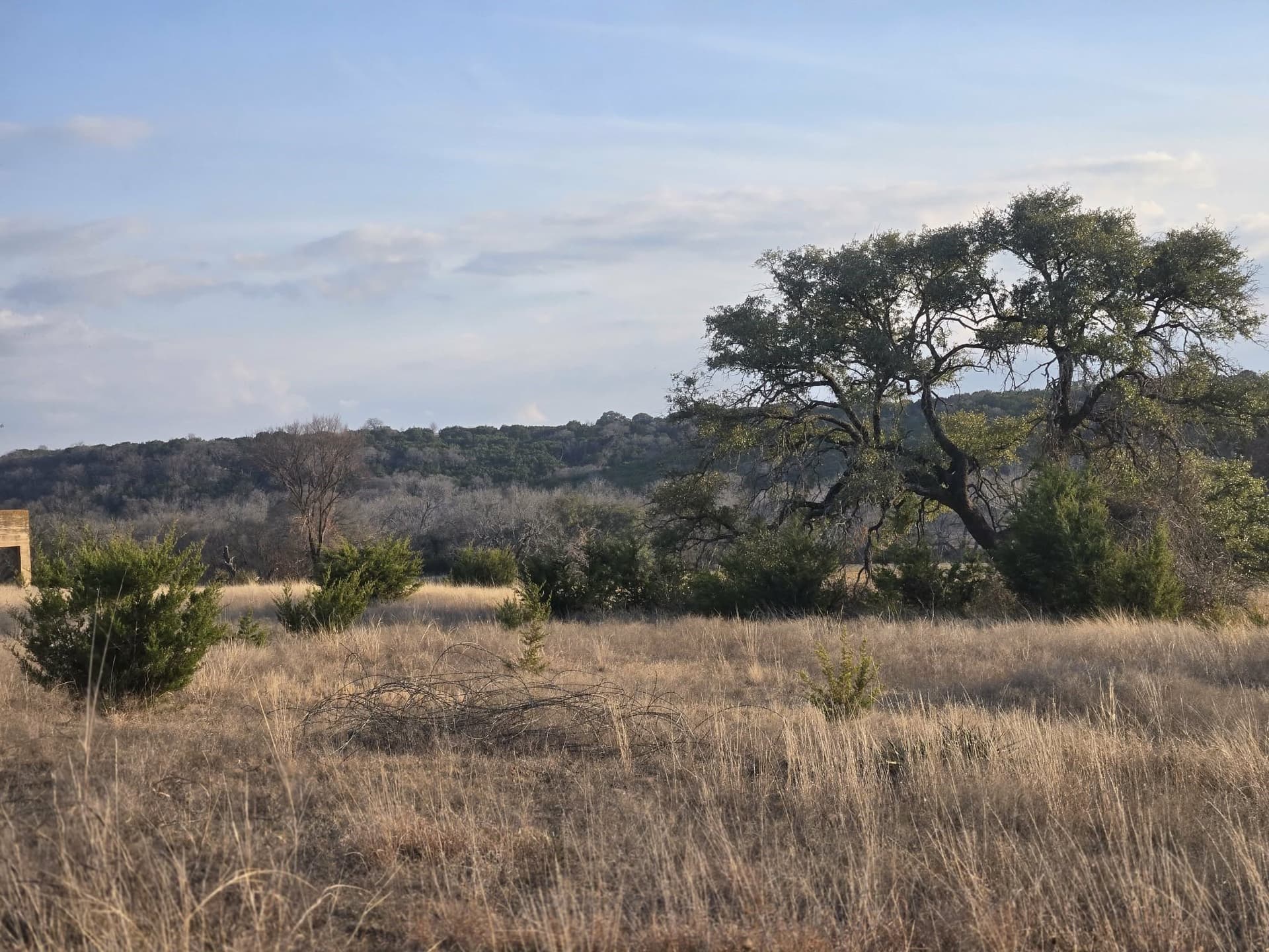 5 acres in Coryell County - photo 9