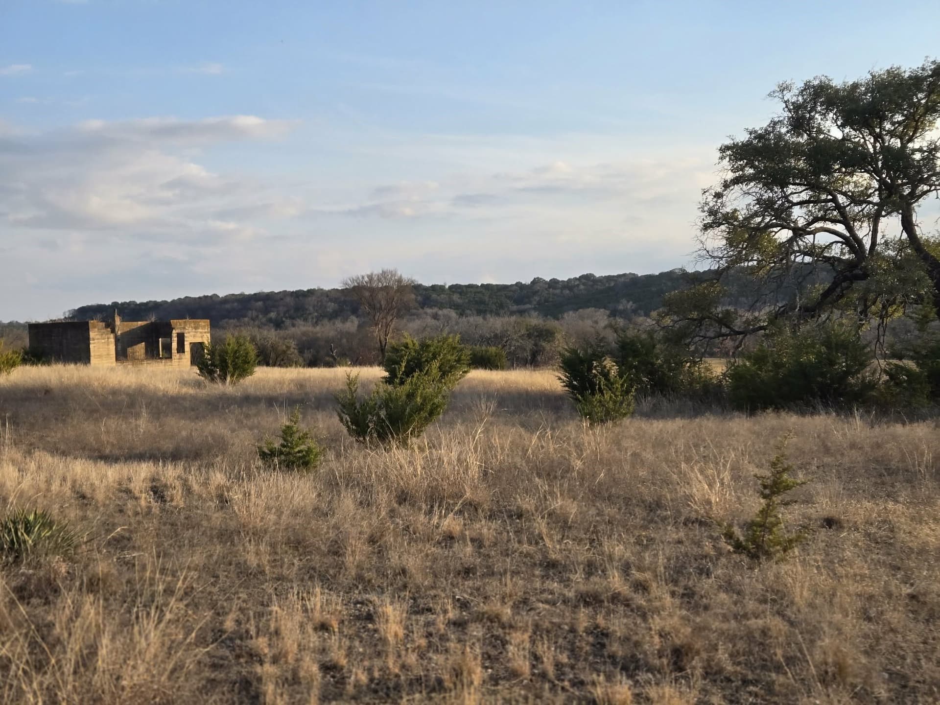 5 acres in Coryell County - photo 8