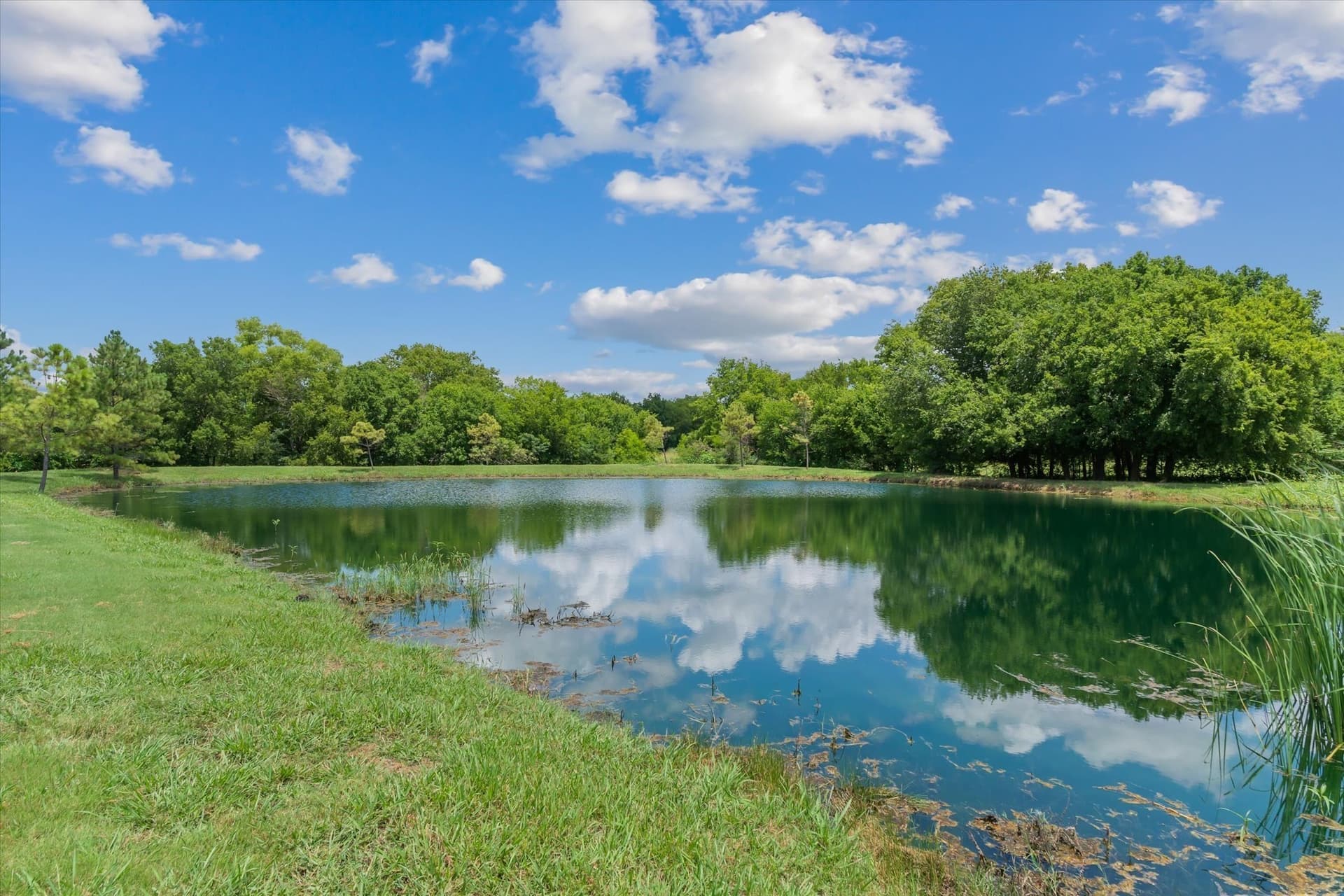 25 acres in Kaufman County - photo 8