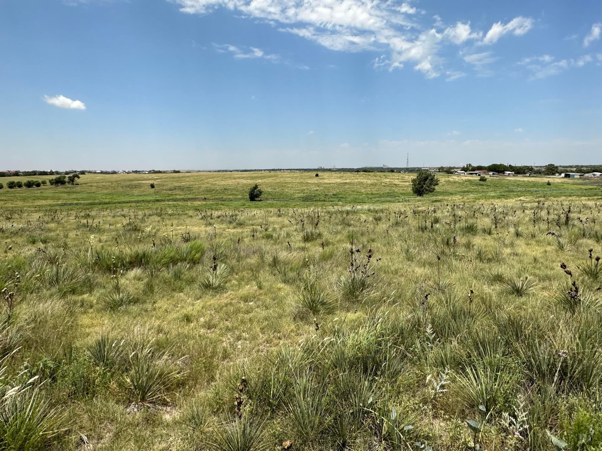 7.58 acres in Randall County gallery image 3