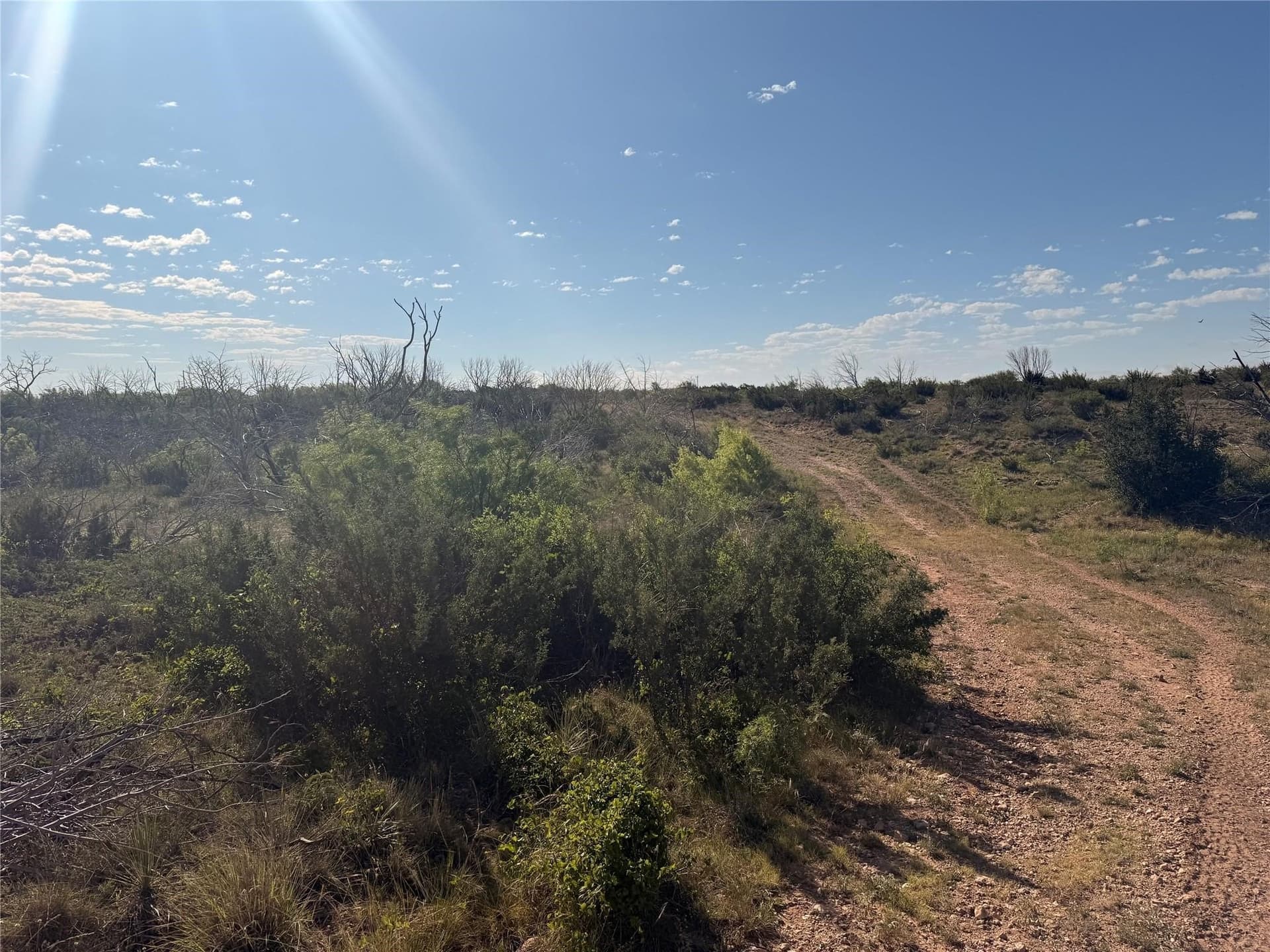 167 acres in Taylor County - photo 2