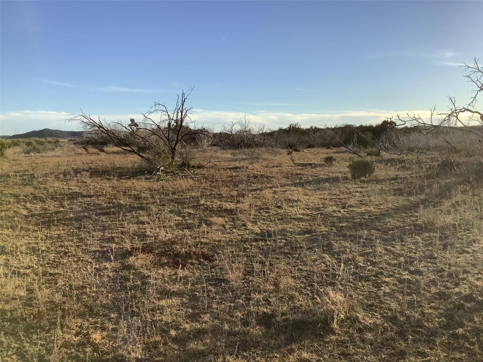 167 acres in Taylor County - photo 5