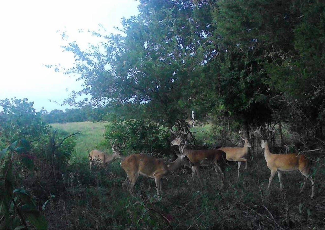 9.81 acres in Parker County - photo 30