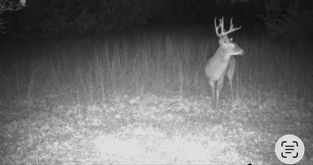 9.81 acres in Parker County - photo 31
