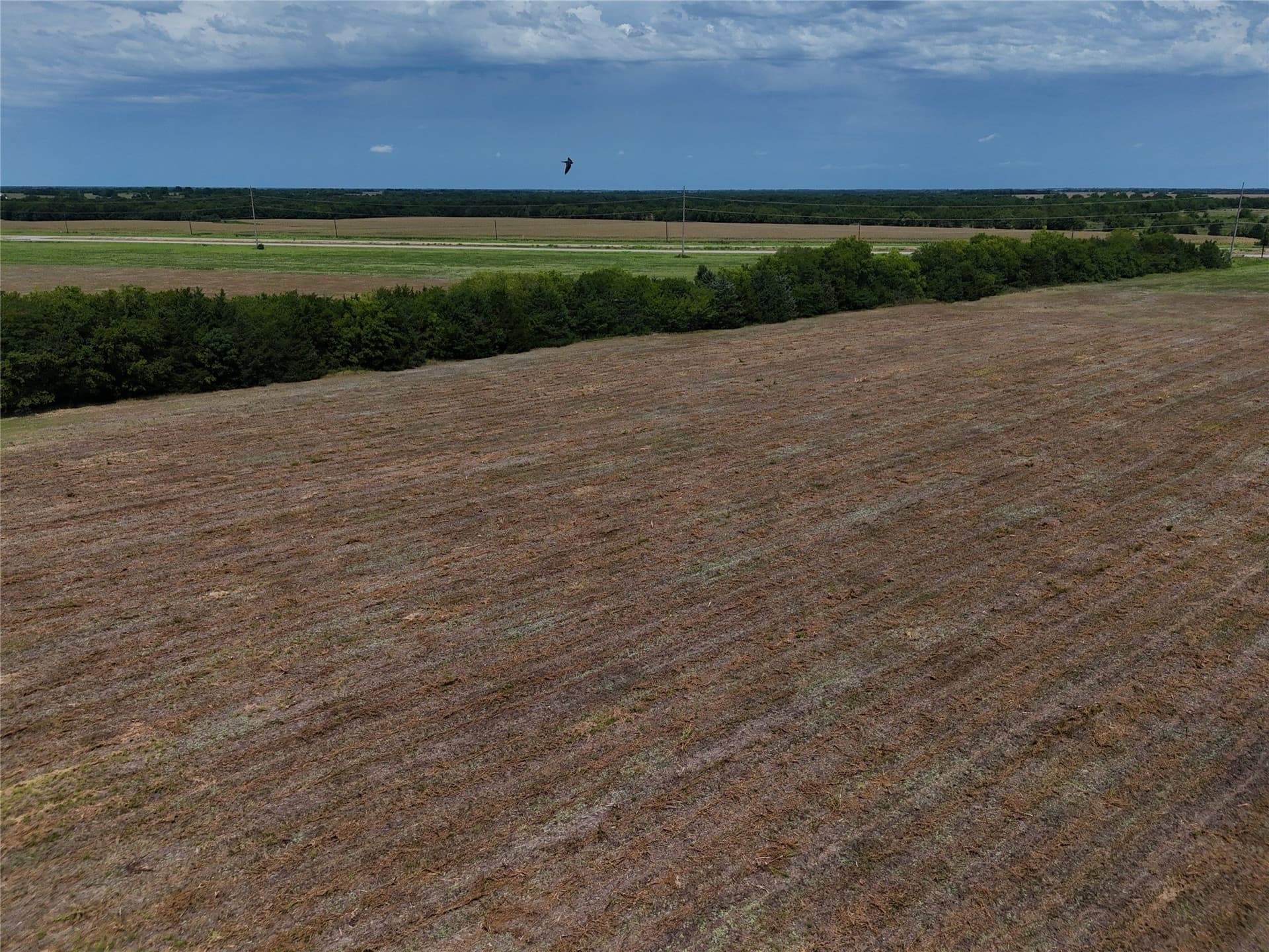 28.5 acres in Delta County - photo 5